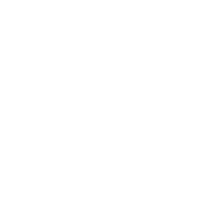 Logo_LAJA_weiß