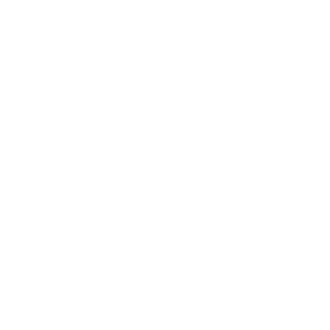 Logo_Lash Boom Cosmetics_weiß