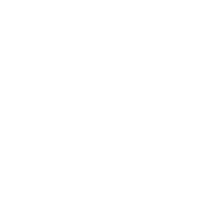 Logo_Sothys_weiß