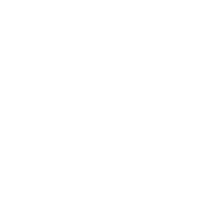 Logo_Voss_weiß